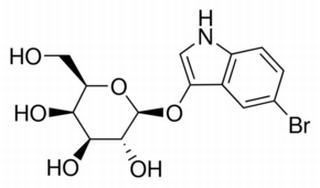 酶類