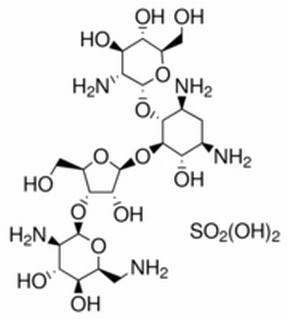 抗體素類