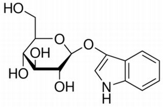 碳水化合物類