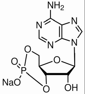 植物激素及核酸類(lèi)