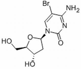 植物激素及核酸類