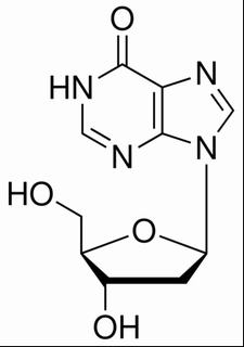 植物激素及核酸類(lèi)