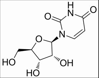 植物激素及核酸類