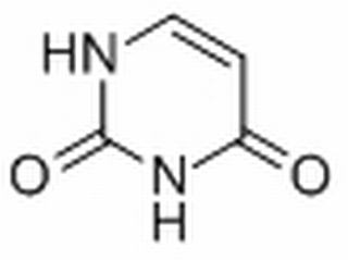 植物激素及核酸類