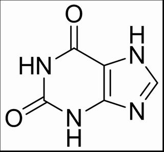 植物激素及核酸類