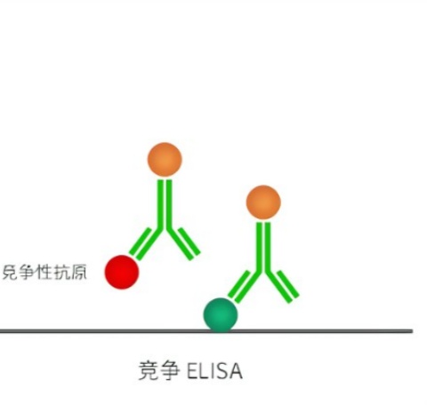 競(jìng)爭(zhēng)性ELISA