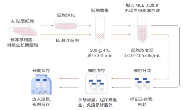 細(xì)胞凍存步驟